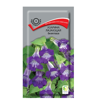  Азарина лазающая фиолет 10шт цв Поиск
