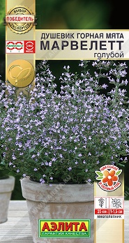  Душевик горная мята Марвелетт голубой 7шт цв Аэлита