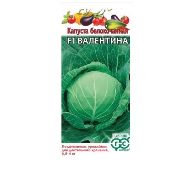  Капуста белокочанная Валентина F1 10шт Гавриш