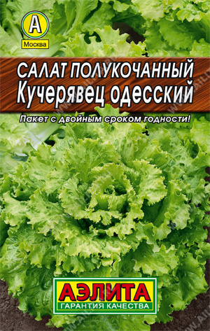 Салат полукочанный Кучерявец Одесский 0,5г цв Аэлита (лидер)