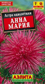  Астра Анна Мария цв Аэлита