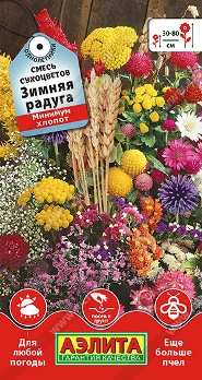  Смесь сухоцветов Зимняя радуга цв Аэлита