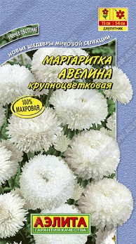  Маргаритка Авелина крупноцветковая цв. Аэлита