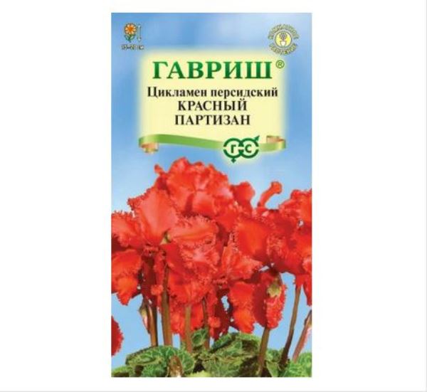  Цикламен Красный партизан персидский 3шт цв Гавриш