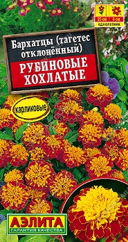  Бархатцы Рубиновые хохлатые отклоненные Аэлита