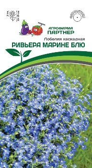  Лобелия каскадная Ривьера Марине Блю 10шт в амп. цв. Партнер