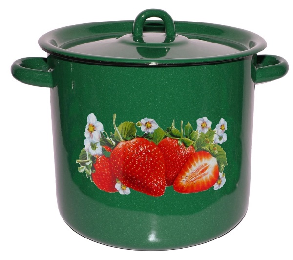  Кастрюля эмалир. цил 5,5л Клубника садовая зеленый рябчик С1617.з*59