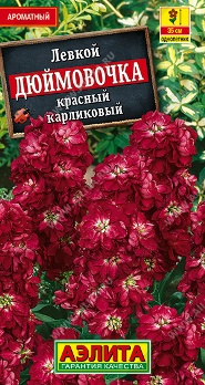  Левкой Дюймовочка карликовый красный цв Аэлита
