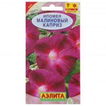  Ипомея Малиновый каприз цв. Аэлита