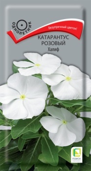  Катарантус Халиф розовый 0,1г цв Поиск