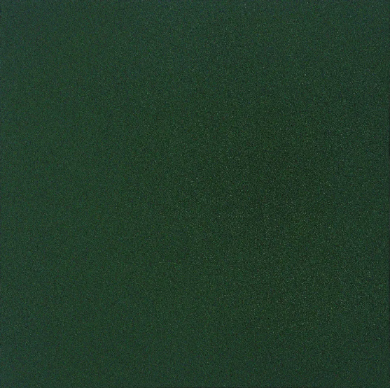 Плитка напольная резиновая 10*500*500 зеленая/зеленый мох - фото