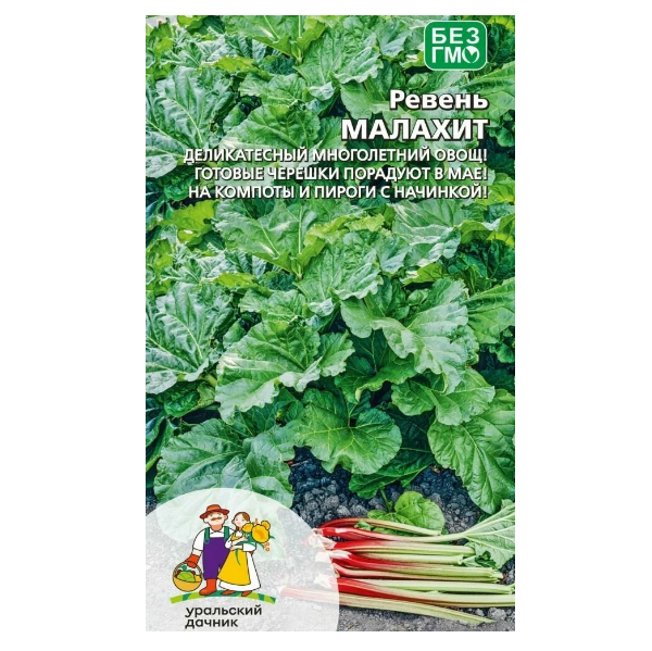  Ревень Малахит цв Уральский Дачник