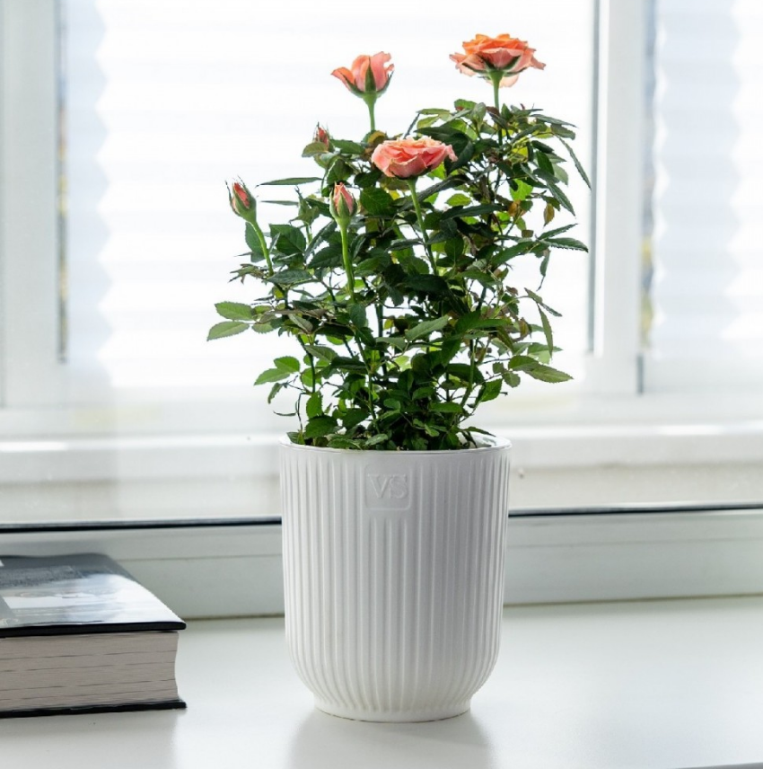  Горшок для цветов 1,6л VipSet с дренажной системой и фитильным поливом Эйва белый