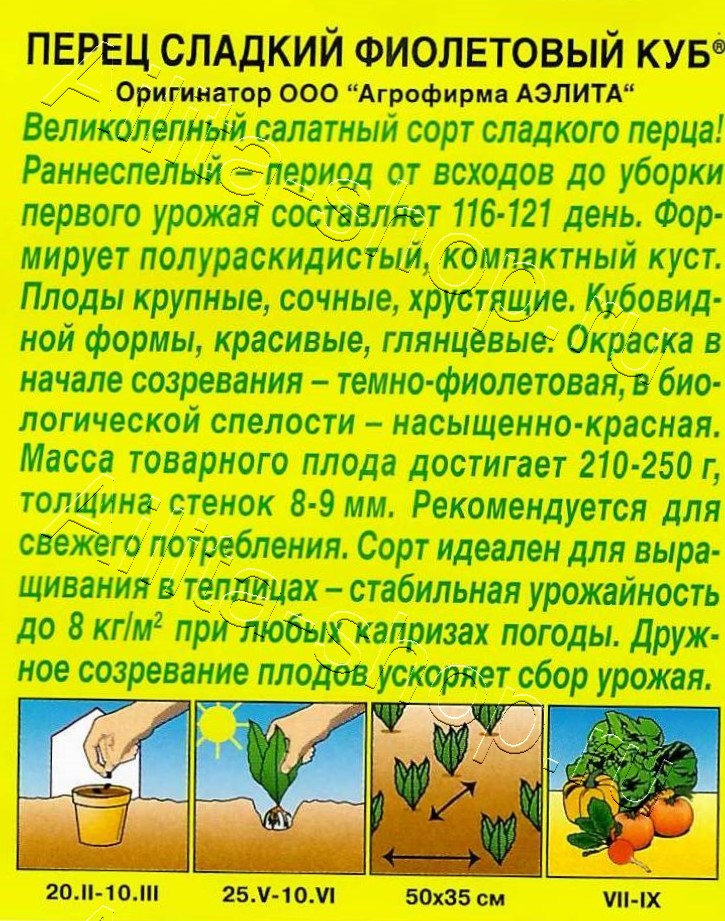  Перец сладкий Фиолетовый куб цв. Аэлита 