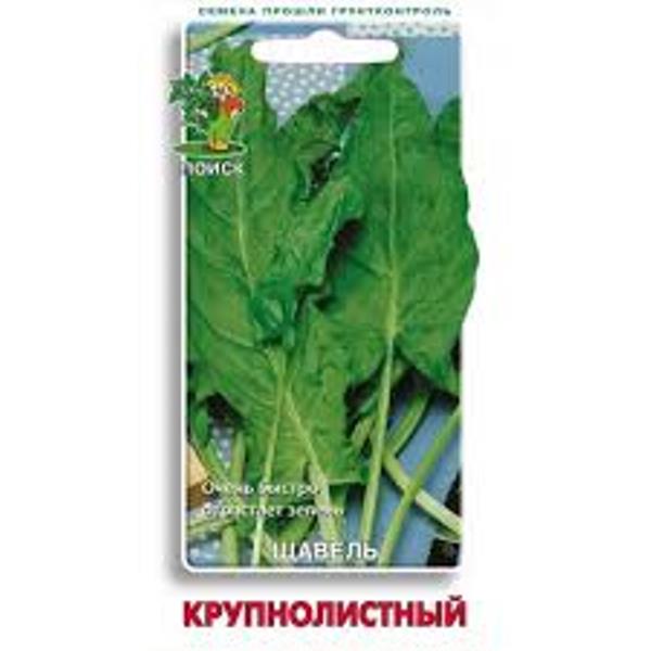  Щавель Крупнолистный цв 1гр Поиск