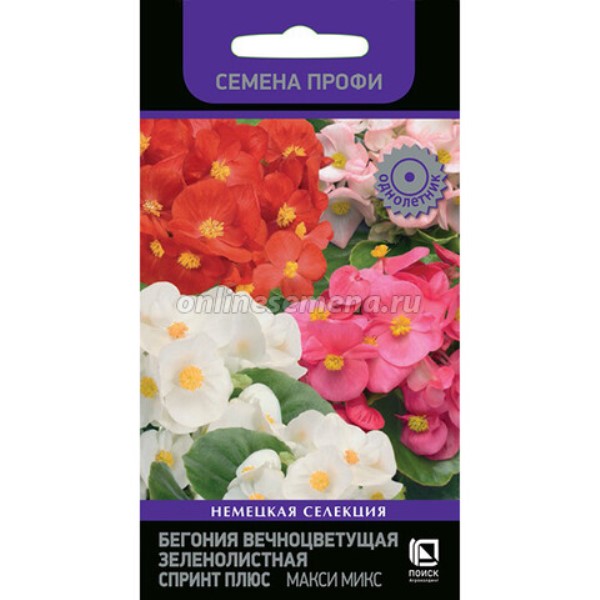  Бегония вечноцв зеленолист Спринт Плюс Макси Микс 10шт цв Семена Профи 