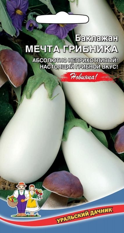  Баклажан Мечта грибника цв Урал.Дачник