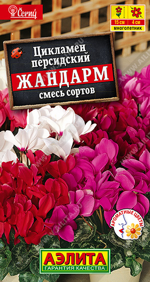  Цикламен персидский Жандарм смесь цв Аэлита