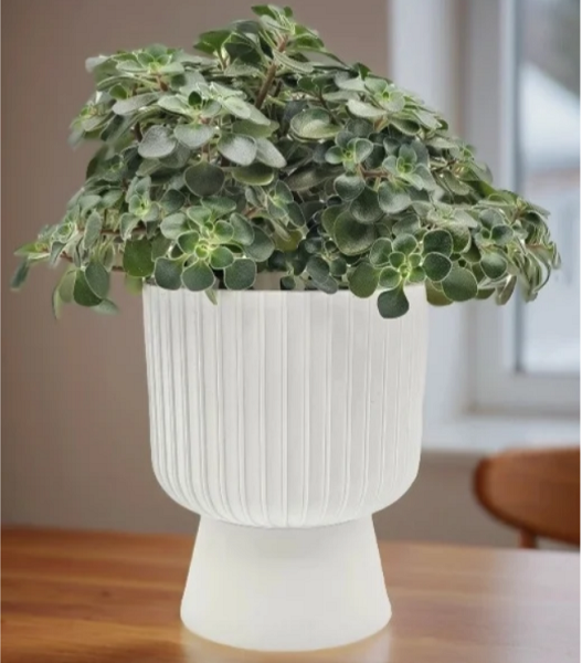  Горшок для цветов 2,8л d17,5см Бекер белый