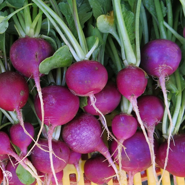  Редис Аметист 3г Россельхозцентр