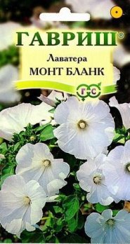  Лаватера Монт Бланк 0,5г цв Гавриш