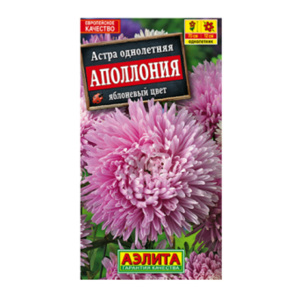  Астра Аполлония Яблоневый цвет цв Аэлита