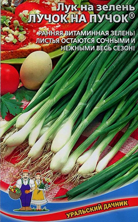  Лук на зелень Лучок на пучок Урал.Дачник
