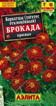  Бархатцы Брокада красные отклонен цв Аэлита