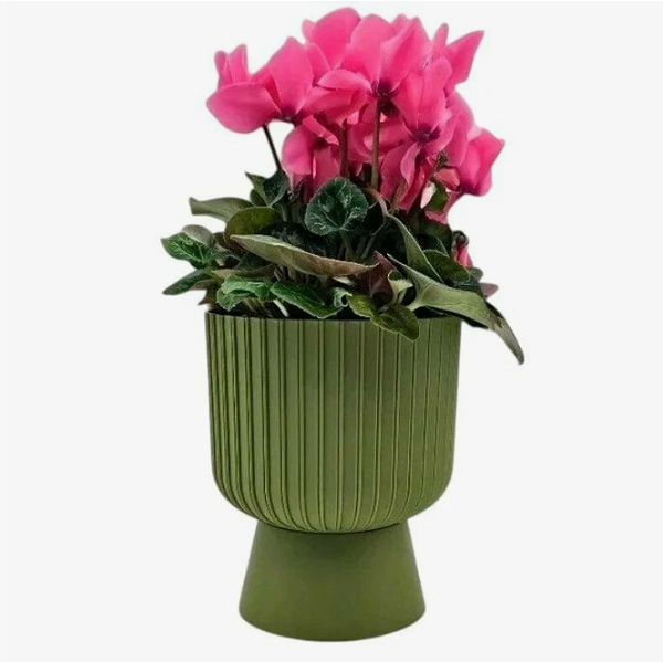  Горшок для цветов 8,6л d25см Бекер папоротник