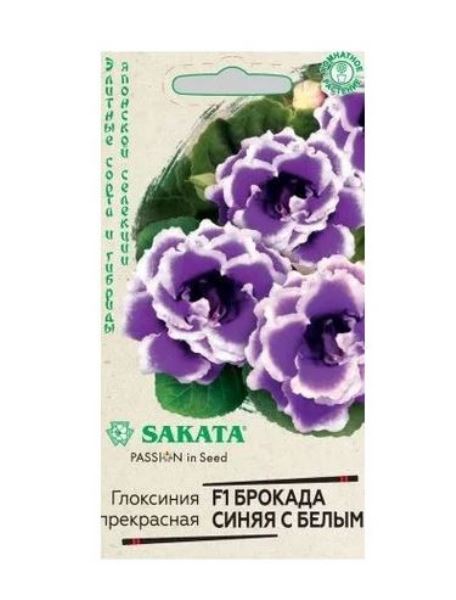  Глоксиния Брокада F1 синяя с белым 4шт драже Саката Эксклюзив