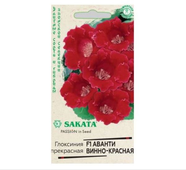  Глоксиния Аванти F1 винно-красная 4шт Саката Эксклюзив Гавриш