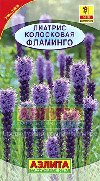  Лиатрис Фламинго цв Аэлита