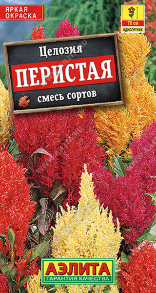  Целозия перистая смесь цв Аэлита