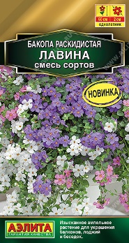  Бакопа раскидистая Лавина смесь Аэлита 