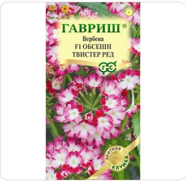  Вербена Обсешн Твистер ред F1 4шт Эилтная клумба Н22