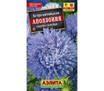  Астра Аполлония светло-голубая цв Аэлита