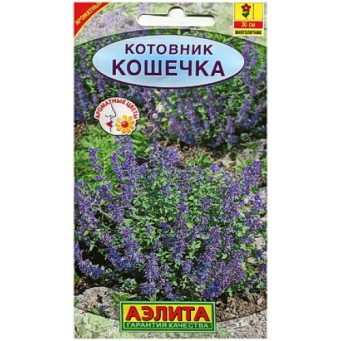  Котовник Кошечка цв.Аэлита