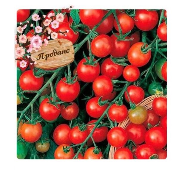  Томат Красная гроздь 0,1г Россельхозцентр 