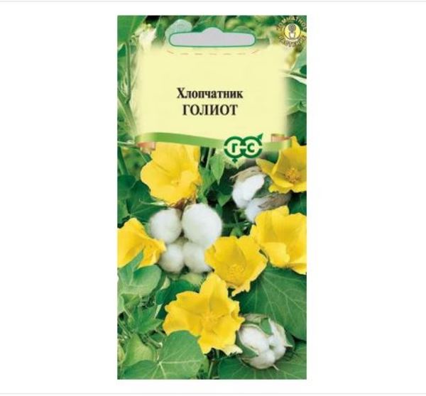  Хлопчатник Голиот (сахарная вата) 3шт Гавриш