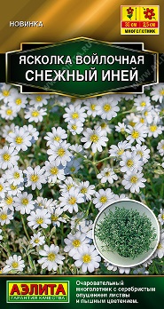  Ясколка Снежный иней цв Аэлита