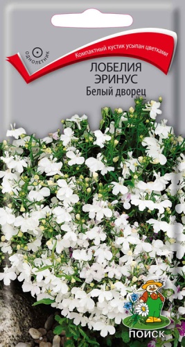  Лобелия эринус Белый дворец 0,1г цв Поиск