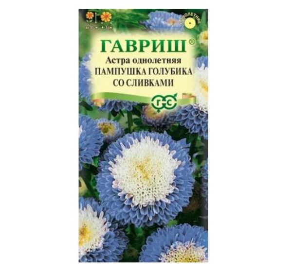  Астра Пампушка голубика со сливками однолетняя помпонная 0,3г Гавриш