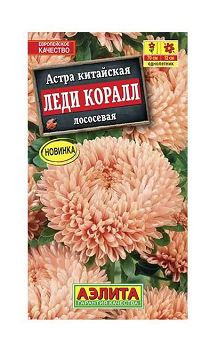  Астра Леди Коралл лососевая цв Аэлита