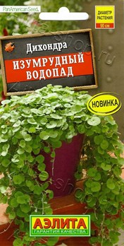  Дихондра Изумрудный водопад цв Аэлита