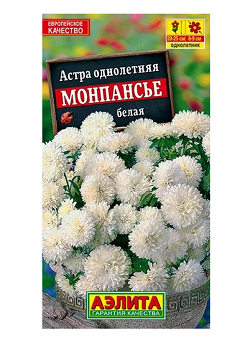  Астра Монпансье белая цв Аэлита