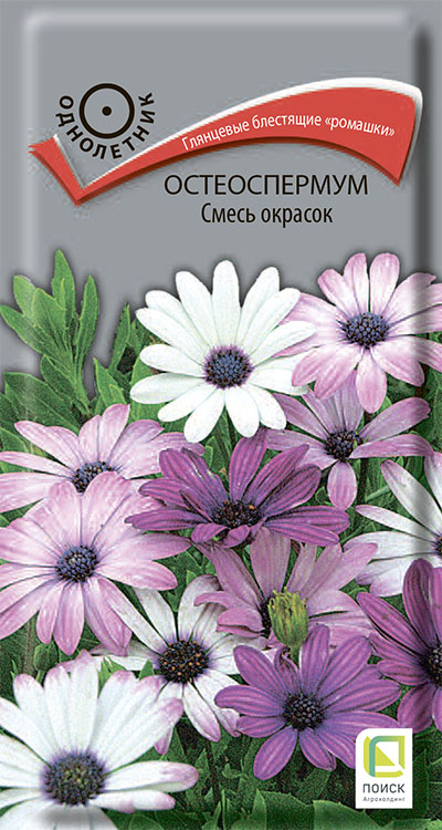  Остеоспермум смесь 0,1г цв Поиск
