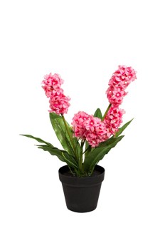  Гиацинт в горшочке розовый 40см 8J-K0013/1 Garda Decor