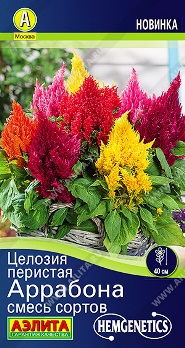  Целозия перистая Аррабона смесь цв Аэлита
