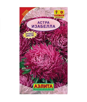  Астра Изабелла цв Аэлита