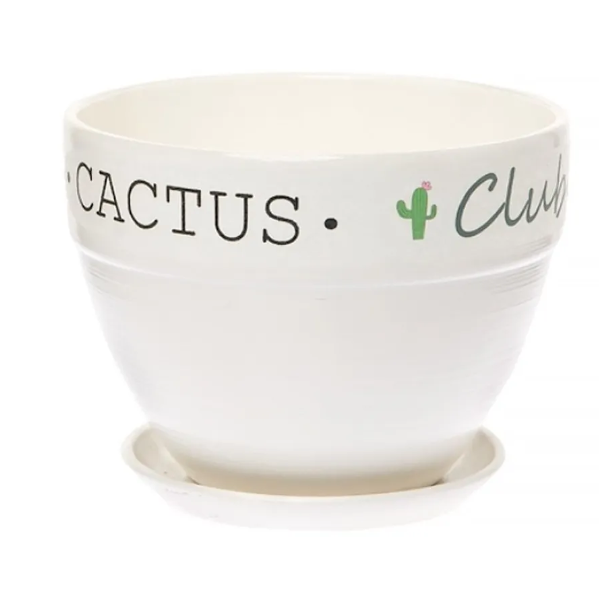  Горшок для цветов керамический Кактус клуб №2 d12см Овал борт